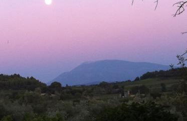 Domaine Fontaine - Foto 55