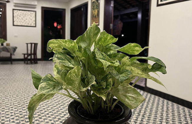 Villa Namkhan Heritage - Foto 45