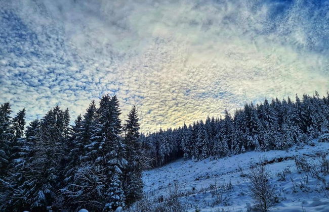 Holiday Home in Bestwig With Private Garden - Foto 26