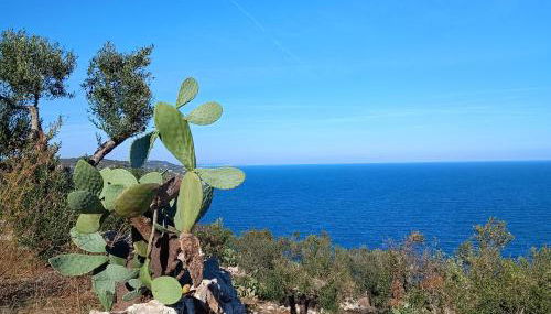 Masseria Tenuta I Quattro Venti - Foto 3