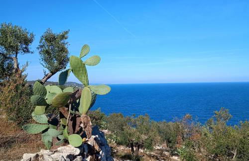 Masseria Tenuta I Quattro Venti - Foto 3