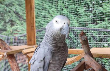 Casa Lilly - Foto 73