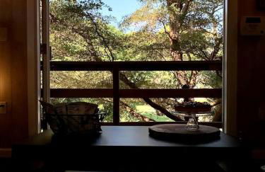 Modern Treehouse Rental with Pool for Glamping in Florida - Foto 11