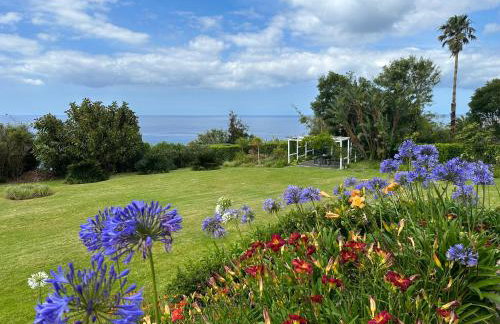 Lobo do Mar - Foto 24