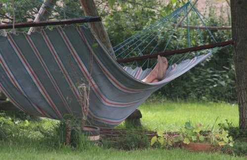 Folwark Malinowy Chruśniak - Foto 25