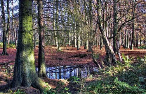 Churchview - Foto 67