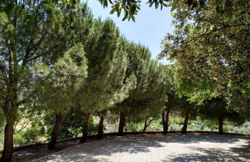 Villa Vena - Foto 17