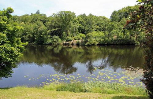 Dominant l'etang - Foto 17