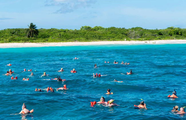 Excursión a Isla Catalina con snorkel - Foto 3