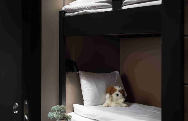 Riddergaarden Hotel & Mountain Lodge, Beitostølen - Foto 6