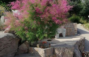 Apartmani Ivanković - Foto 35