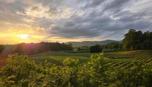 Cabin on Gold Mine Hill - Foto 3