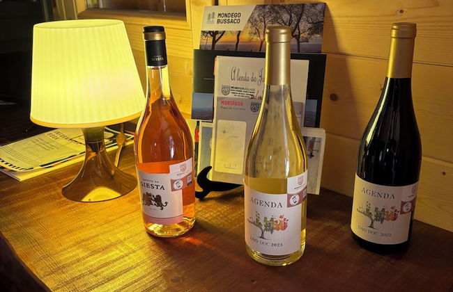 Mimosa Village - Foto 13