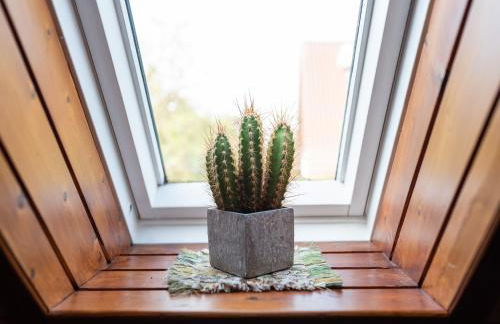 Ferienwohnung im Kappeler Wald - Photo 46