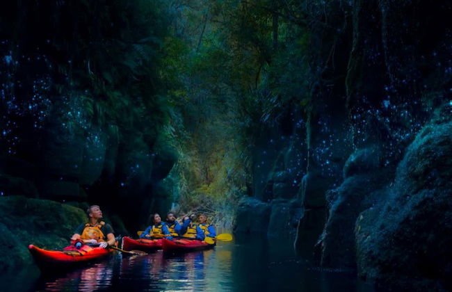 Tour en kayak por el lago McLaren con avistamiento de luciérnagas - Foto 5