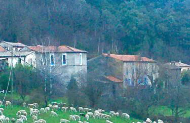 Grande maison cévenole authentique - Foto 29