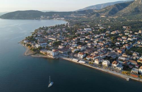 The backyard- Κατοικία στην Αγριά, Βόλου - Foto 44