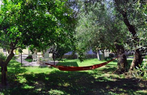 Green House!!! - Foto 27