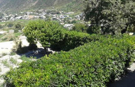 la casa di titti e jack - Foto 39