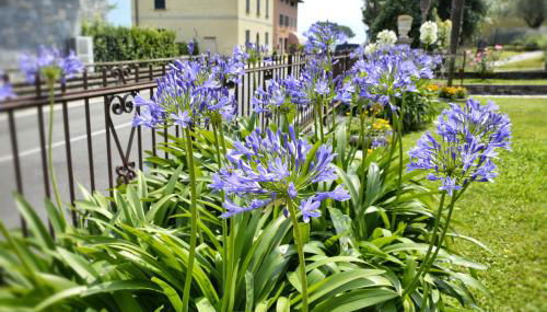 Casa Giardino fiorito - Foto 4
