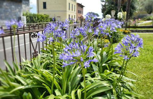 Casa Giardino fiorito - Foto 4