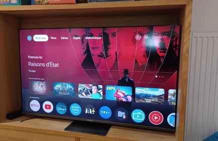 Gite Le Buisson - Spa and sauna - Foto 24