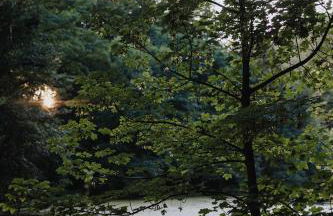 Apartment am Annaweiher - Foto 29