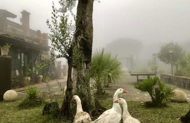 Villa casina dell'Etna - Foto 22