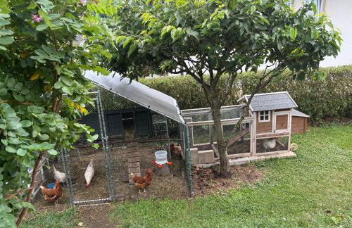 Gemütliche Ferienwohnung mit Sonnenterrasse - Foto 48