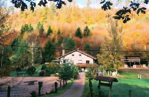 Gîte de la vallée, En Pleine Forêt - Foto 1