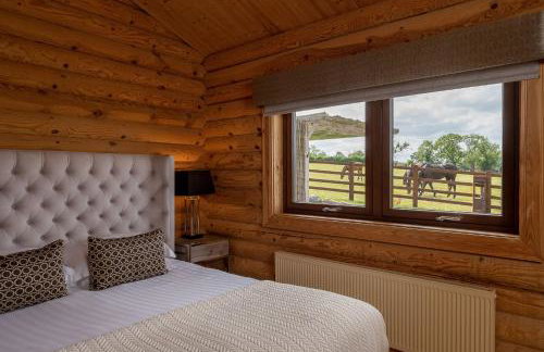 Constable Burton - Photo 19