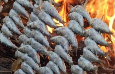 Casa Delfina - Photo 43