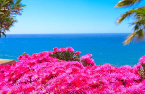 Villa Atardecer by Interhome - Photo 40