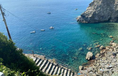 passito rosso - Foto 10