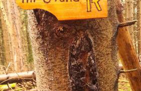 Apartement Unten im Dorf - Foto 15