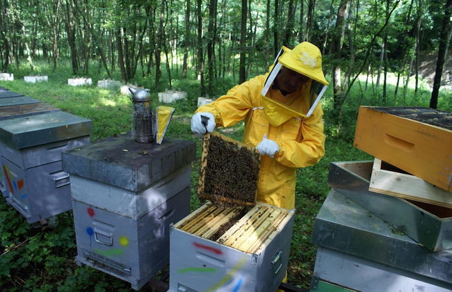 Agriturismo Florandonole - Foto 42