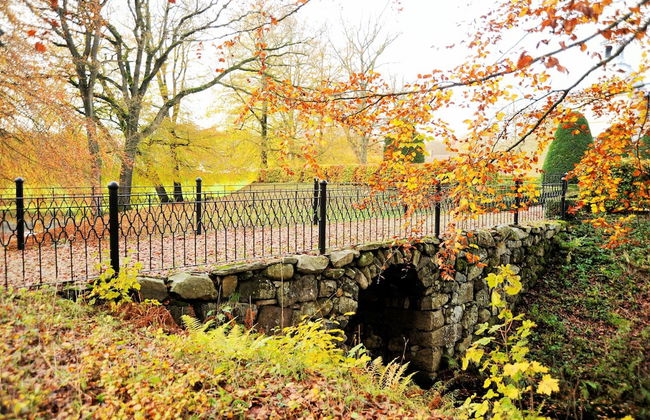 Kronovalls vinslott - Foto 26