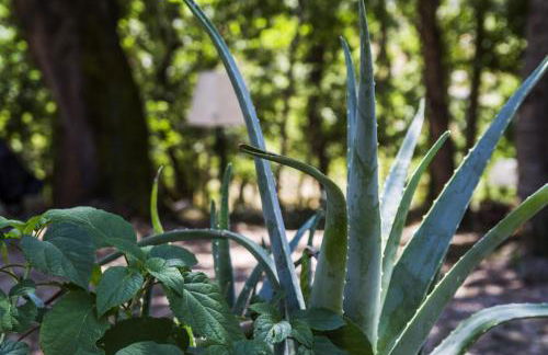 AGRITURISMO Case Catalano - Foto 14