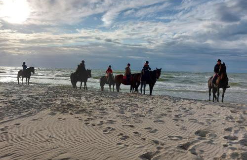 Apartament Sosnowy AKTENA Shellter Rogowo - Foto 29