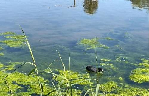 Gran Alicante Bungalow in Beach Resort - Foto 32