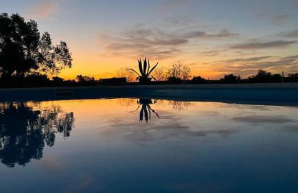 Hacienda Donaire Beas - Foto 54