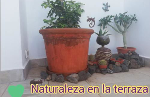 Love for Lanzarote holidays house - Foto 54