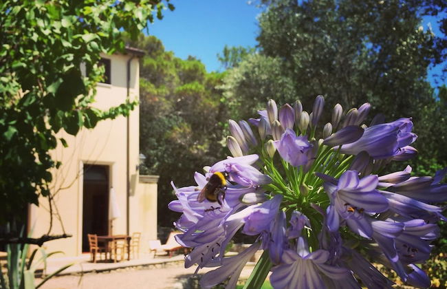 Villa Scinata Historic House - Foto 70