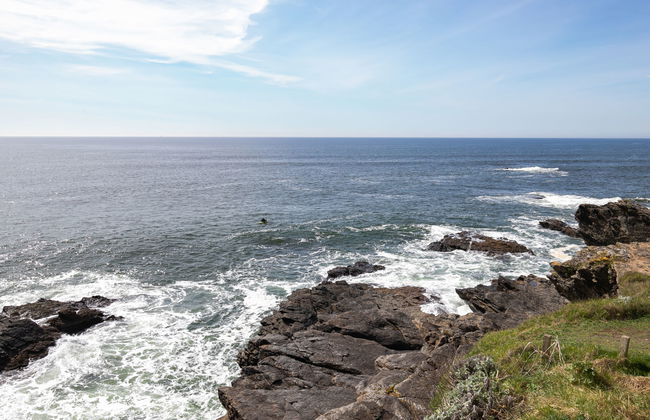 Les Roches - Foto 36