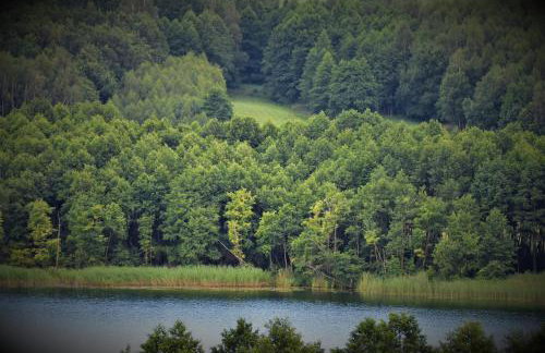 Pasterzewo 19 - Domki na Mazurach - Foto 26