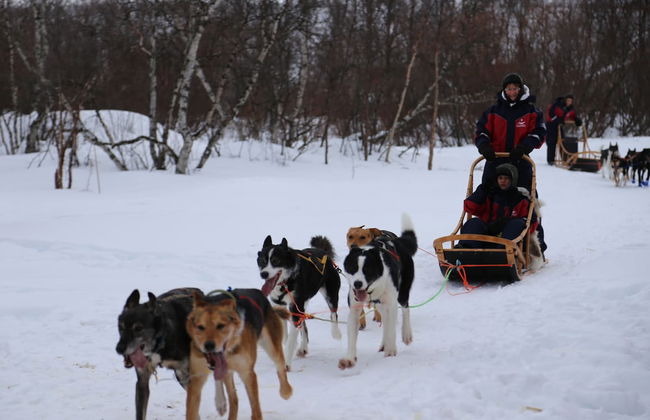 Nuorgam Holiday Village - Foto 52