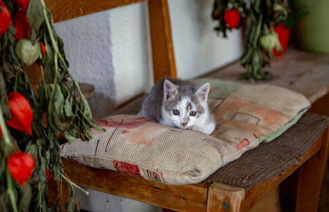 EkoTurizem Hudičevec - Photo 43