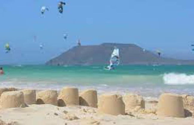 Comfortable 1-bed Bungalow in Parque Holandés - Photo 33