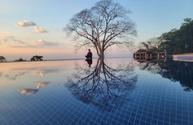 PIDA COFFEE FARM LODGE - Photo 33