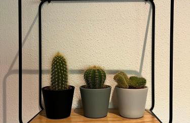 Stay Nice Apartments Dorfen Nähe München Jacuzzi Grillkota 75 Zoll TV - Foto 35